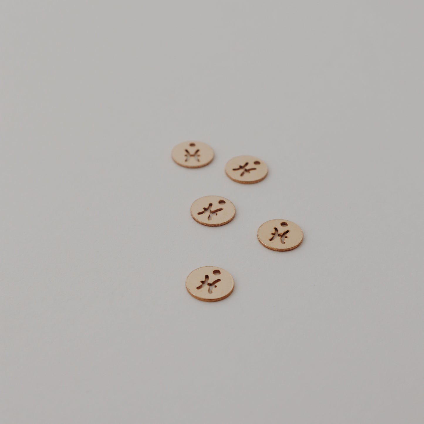 Pisces Charm