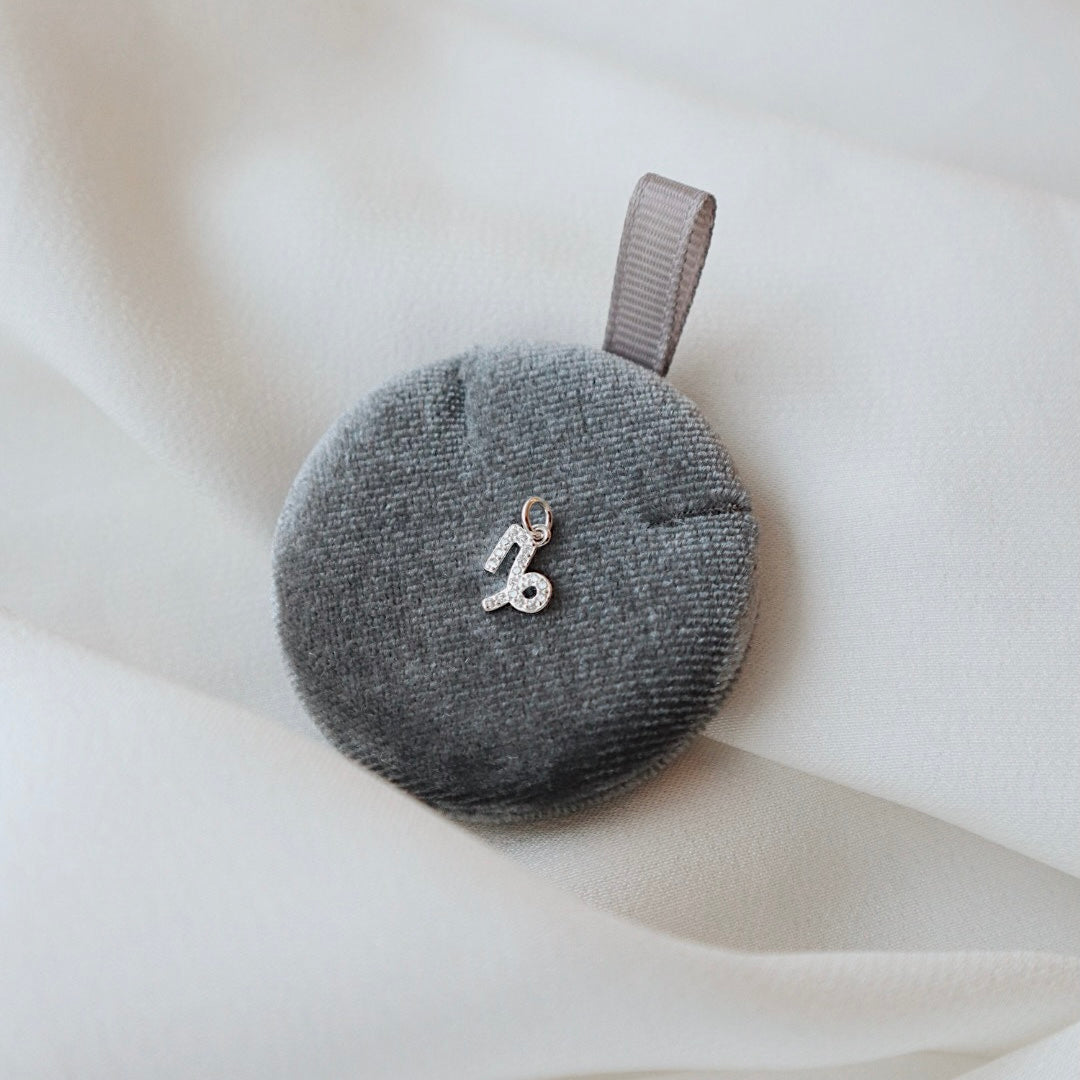 Zodiac Zircon Charm - PeacePiecesJewelry