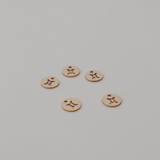 Gemini Charm