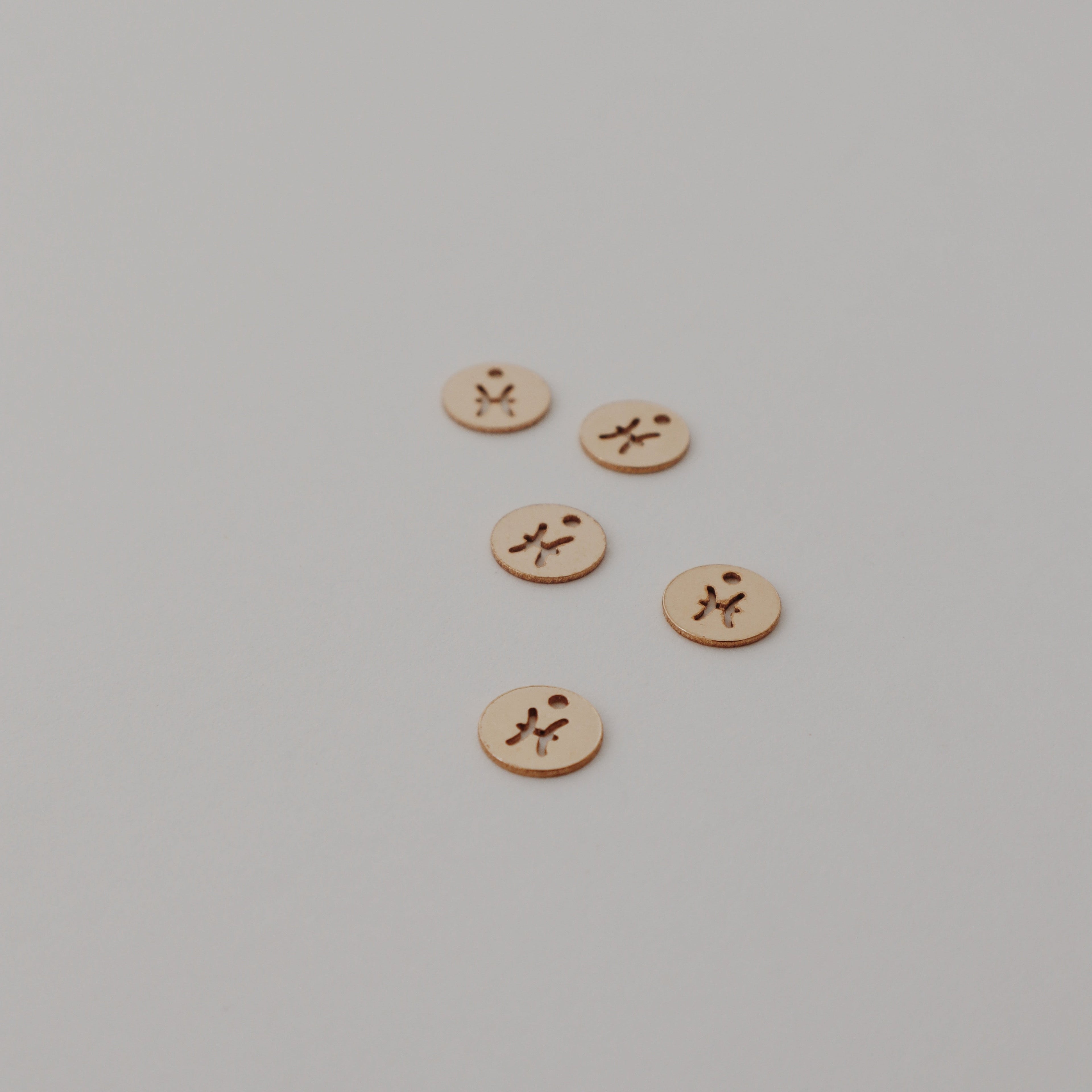 Pisces Charm Peace Pieces Jewelry