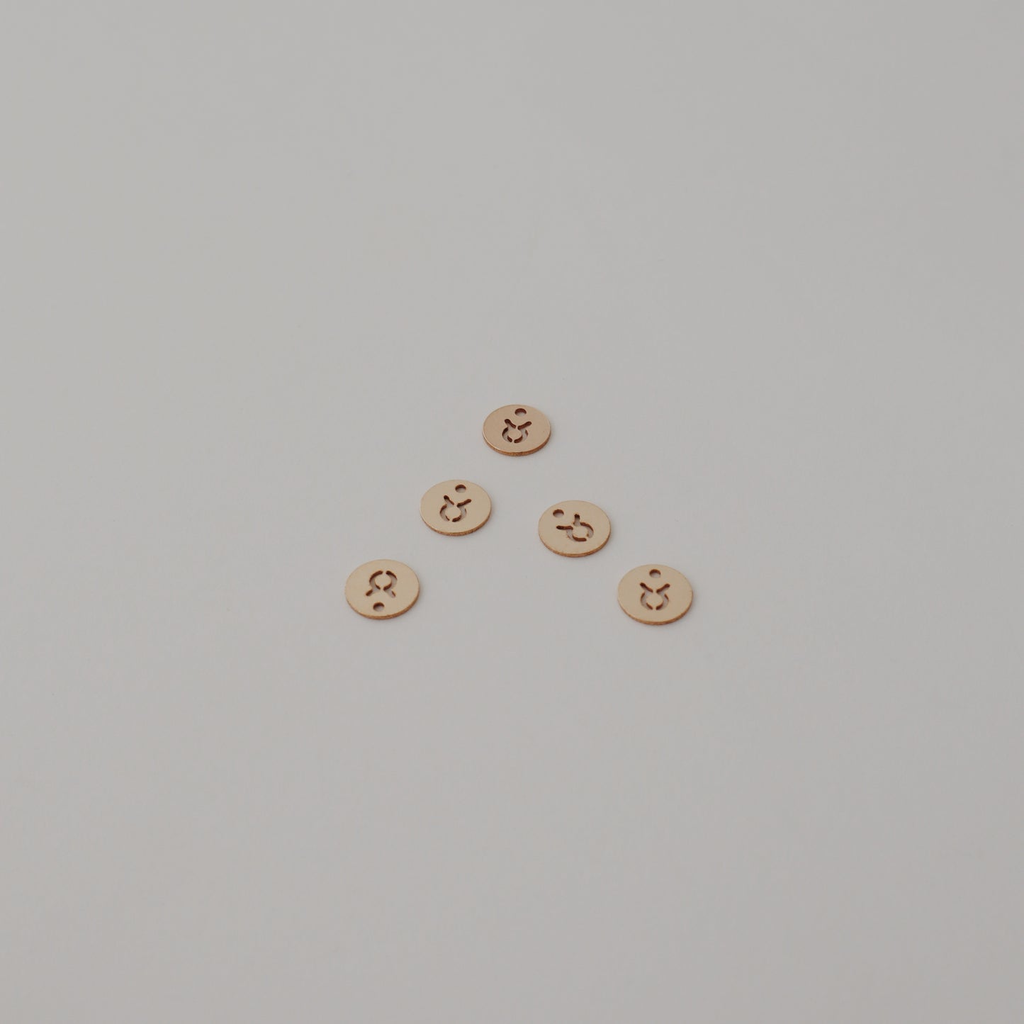 Taurus Charm
