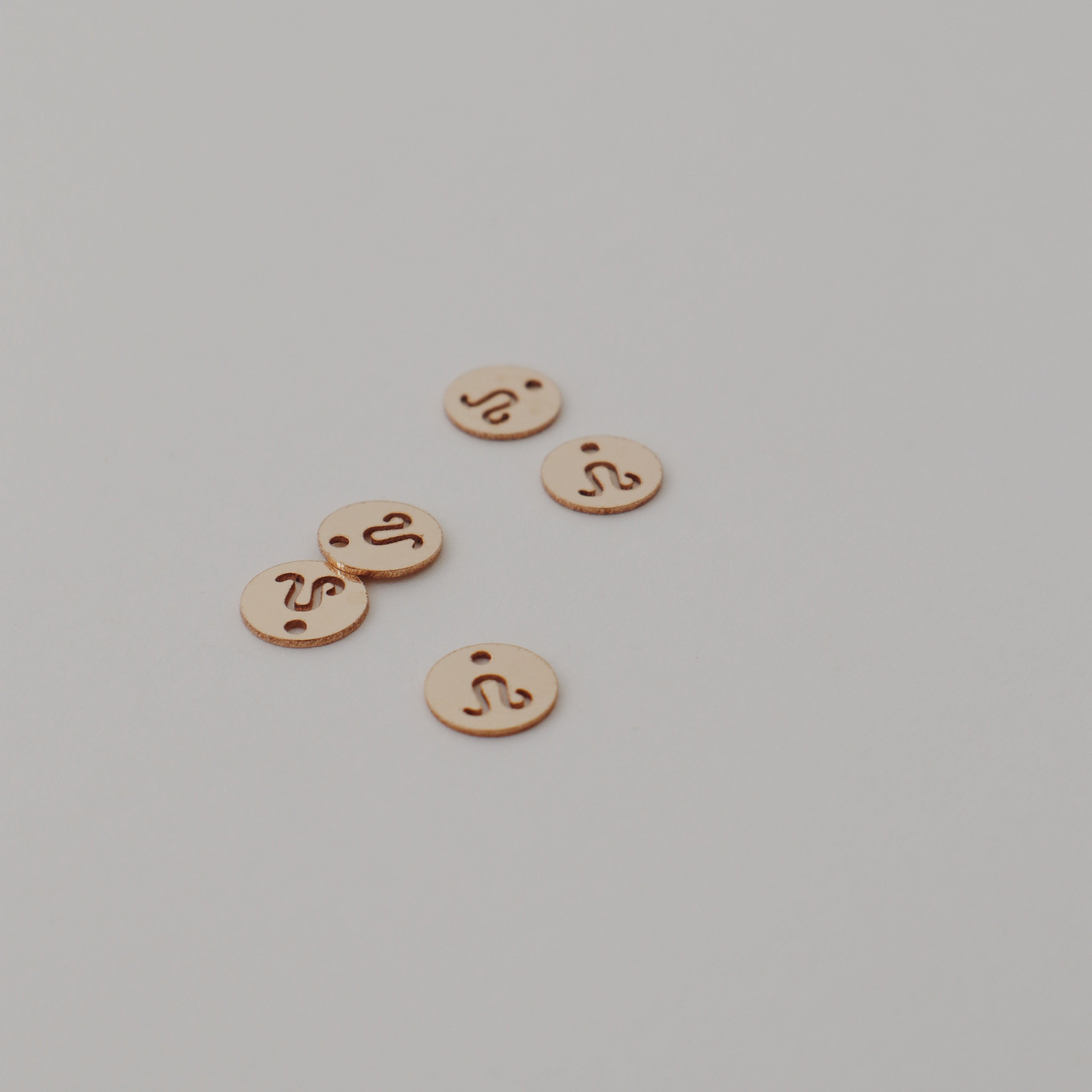 Leo Charm Peace Pieces Jewelry