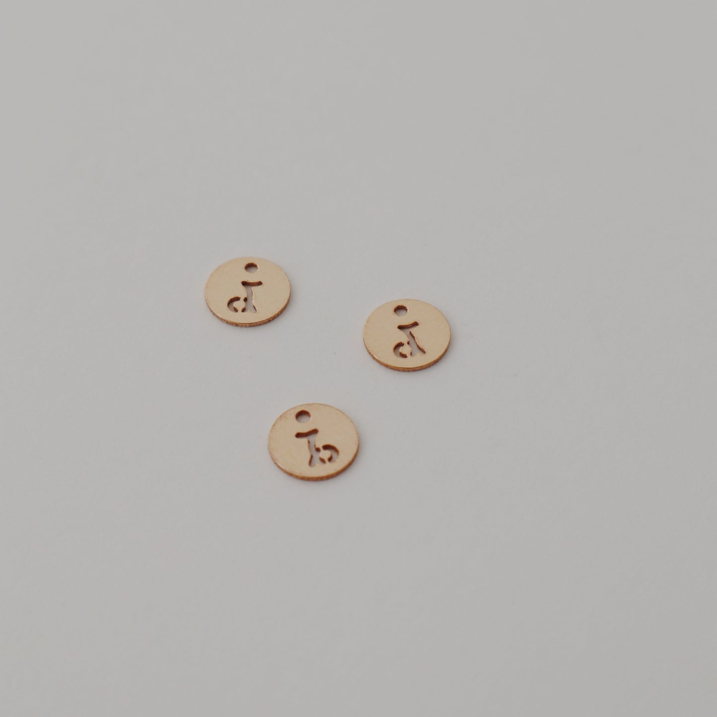 Capricorn Zodiac Charm