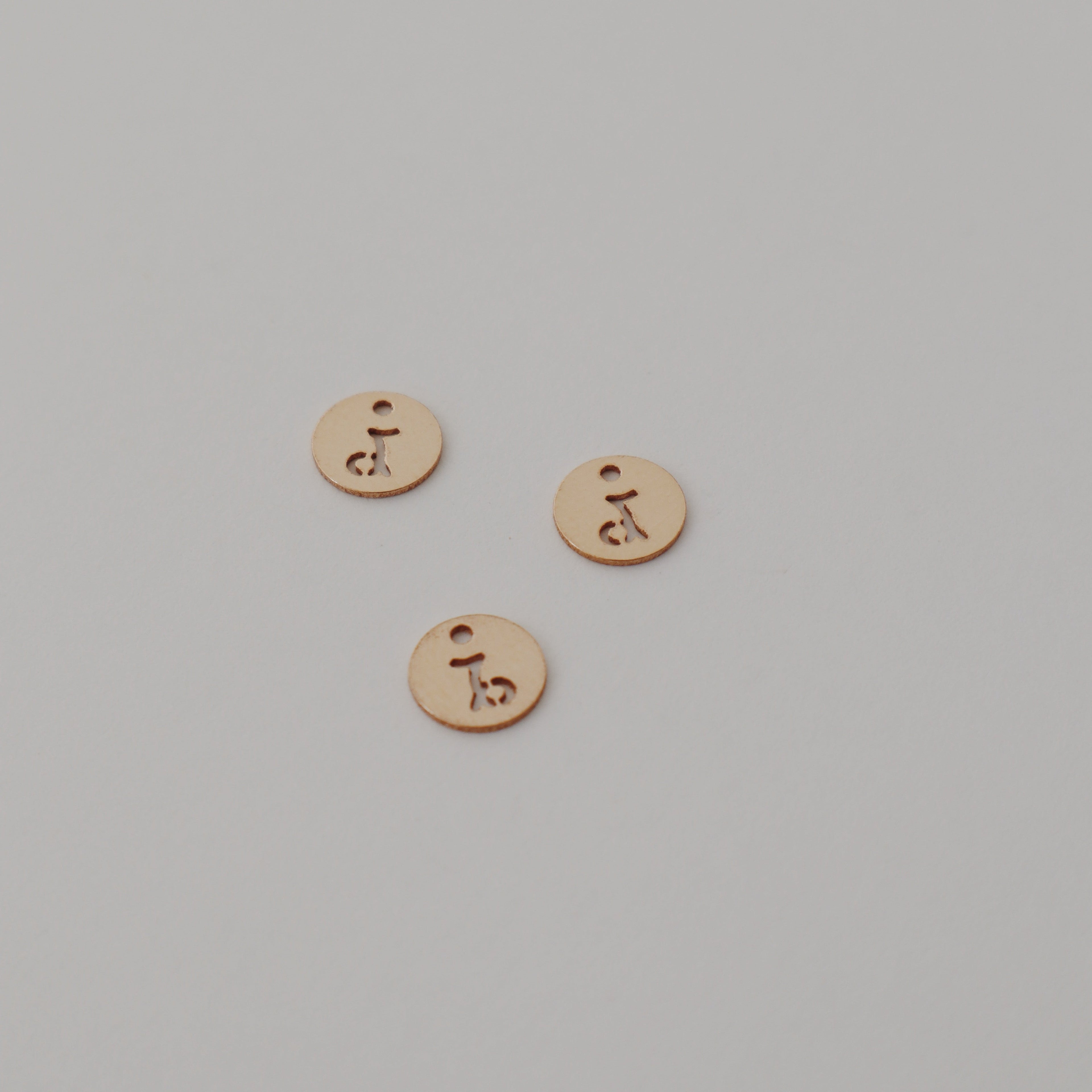 Capricorn Zodiac Charm Peace Pieces Jewelry